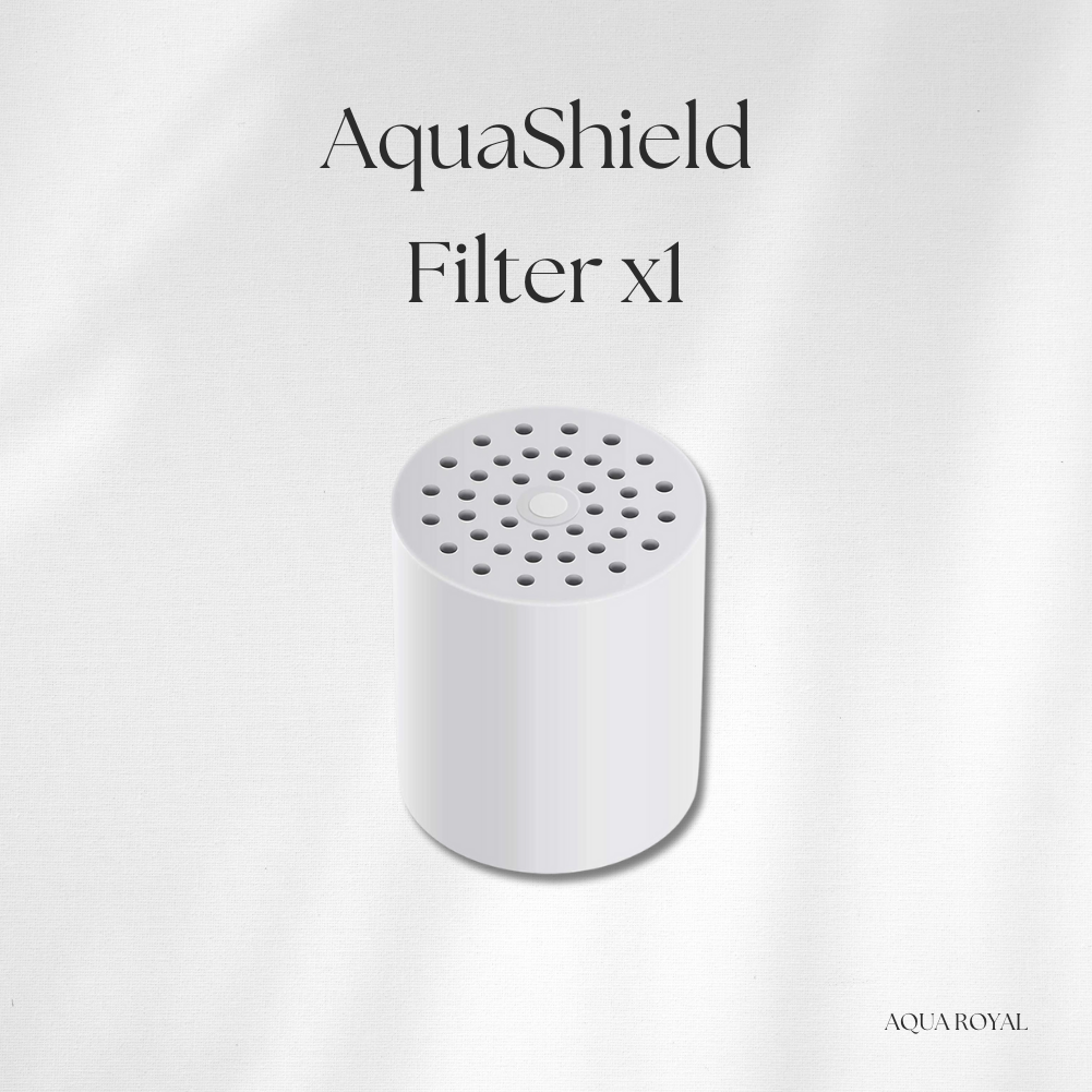 AquaShield Filter -פילטר למסנן מים